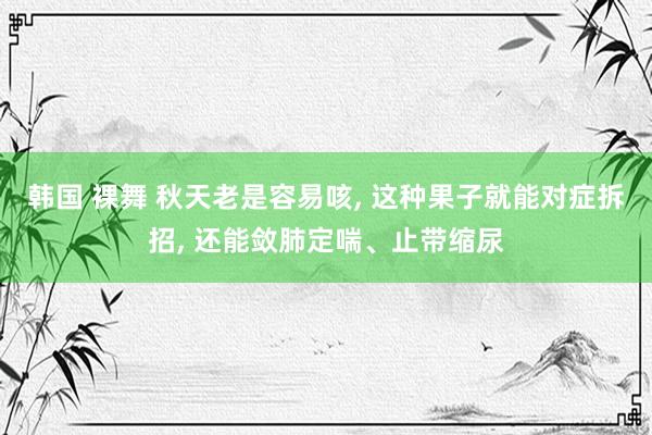 韩国 裸舞 秋天老是容易咳， 这种果子就能对症拆招， 还能敛肺定喘、止带缩尿
