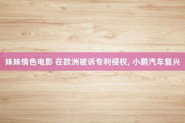 妹妹情色电影 在欧洲被诉专利侵权， 小鹏汽车复兴