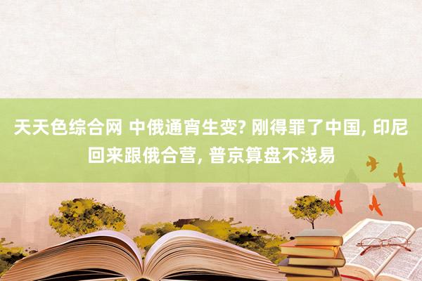 天天色综合网 中俄通宵生变? 刚得罪了中国， 印尼回来跟俄合营， 普京算盘不浅易