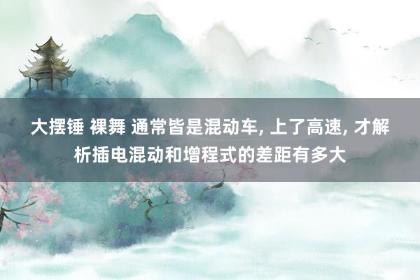 大摆锤 裸舞 通常皆是混动车, 上了高速, 才解析插电混动和增程式的差距有多大