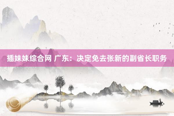 插妹妹综合网 广东：决定免去张新的副省长职务
