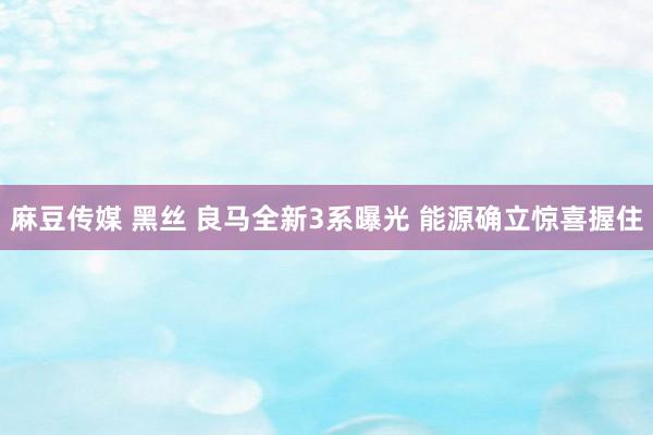 麻豆传媒 黑丝 良马全新3系曝光 能源确立惊喜握住
