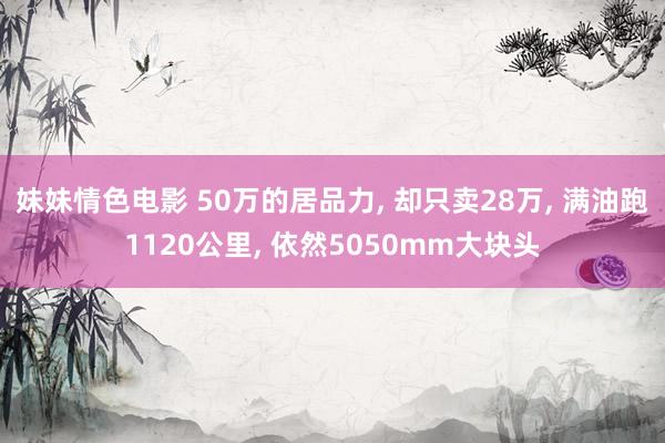 妹妹情色电影 50万的居品力, 却只卖28万, 满油跑1120公里, 依然5050mm大块头