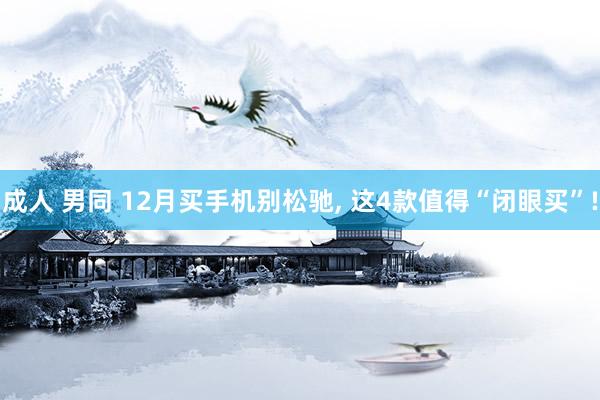 成人 男同 12月买手机别松驰, 这4款值得“闭眼买”!