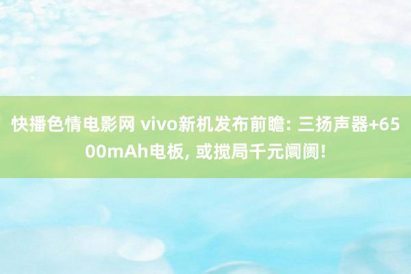 快播色情电影网 vivo新机发布前瞻: 三扬声器+6500mAh电板, 或搅局千元阛阓!