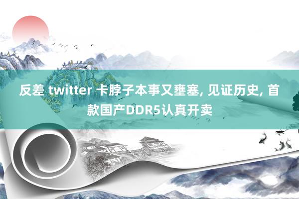 反差 twitter 卡脖子本事又壅塞, 见证历史, 首款国产DDR5认真开卖
