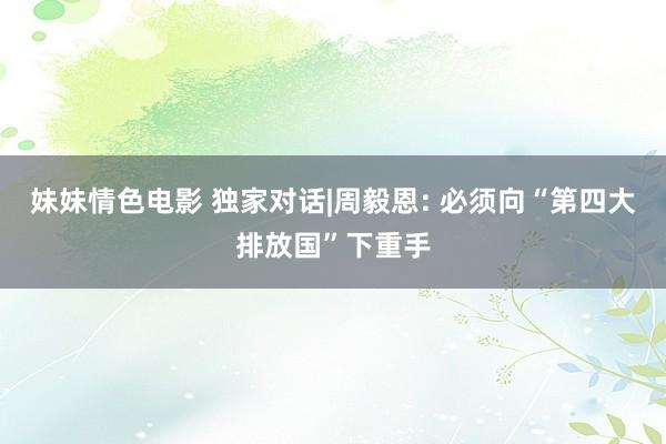 妹妹情色电影 独家对话|周毅恩: 必须向“第四大排放国”下重手