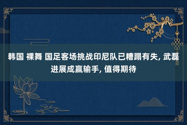 韩国 裸舞 国足客场挑战印尼队已糟蹋有失, 武磊进展成赢输手, 值得期待