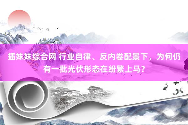 插妹妹综合网 行业自律、反内卷配景下，为何仍有一批光伏形态在纷繁上马？