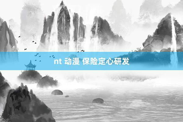 nt 动漫 保险定心研发