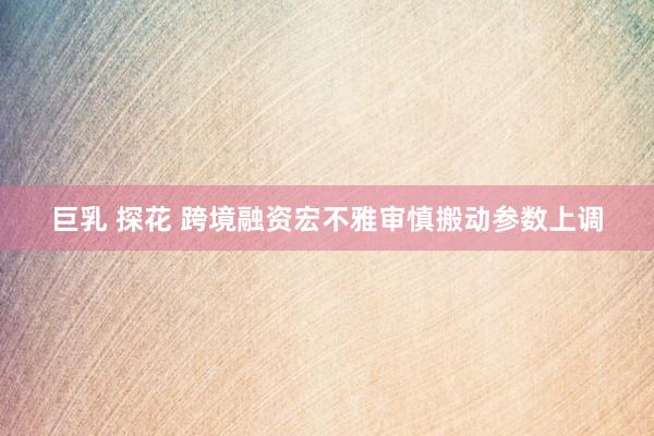 巨乳 探花 跨境融资宏不雅审慎搬动参数上调