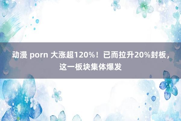 动漫 porn 大涨超120%！已而拉升20%封板，这一板块集体爆发