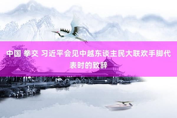 中国 拳交 习近平会见中越东谈主民大联欢手脚代表时的致辞