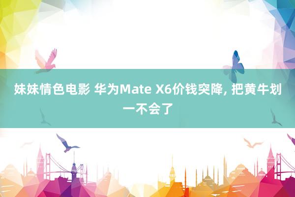 妹妹情色电影 华为Mate X6价钱突降， 把黄牛划一不会了