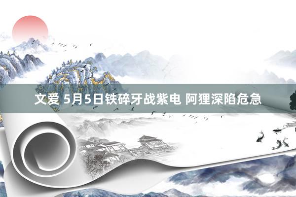 文爱 5月5日铁碎牙战紫电 阿狸深陷危急